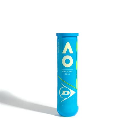 How the public can access the official lickingcounty inmate list 30