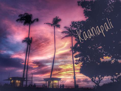 Buying Property on Maui | Your Expert Guide