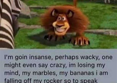 Im Goin Insanse Perhaps Wacky One Might Even Say Crazy Im Losing