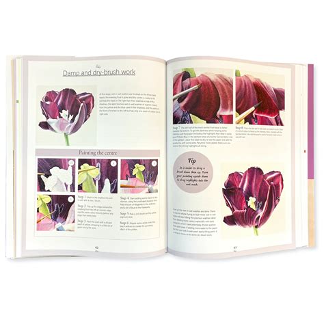 Botanical Watercolours Through The Seasons An All Year Round Guide To