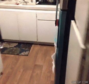 Its Too Damn Hot Outside Funny Pictures Quotes Pics Photos Images Videos Of Really Very