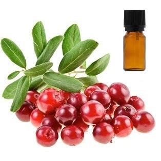 Экстракт СО2 сверхкритический Клюквы арктической, 5 мл | HomeArt