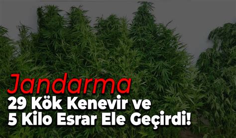 Jandarma K K Kenevir Ve Kilo Esrar Ele Ge Irdi Karab K Derin