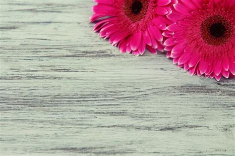 Premium Photo Beautiful Pink Gerbera Flowers On Wooden Table