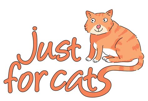 What Is A Cattery Catteries Cattery And Small Animals Boarding