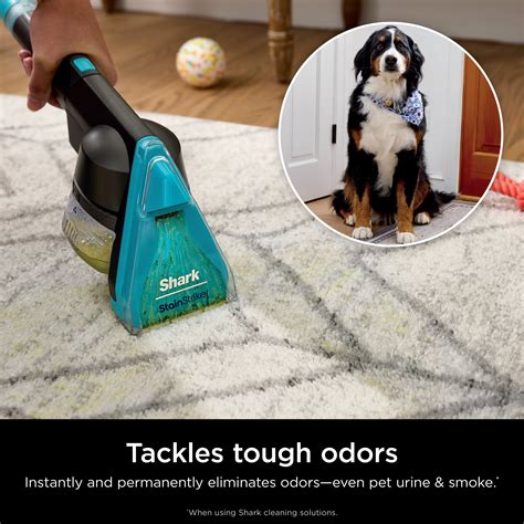 Shark – CarpetXpert HairPro Pet with StainStriker, Corded Upright Deep