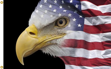 US Flag Eagle 1 - Flagpole Farm