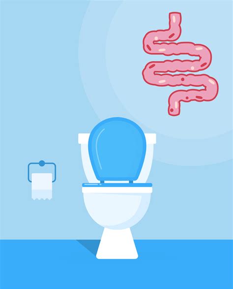 Correlations between stool characteristics and gut health