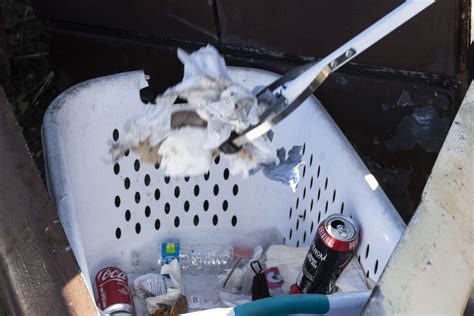 Carmen Del Real is Keeping Cicero Real Clean — Cicero Independiente