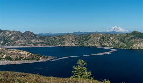 Spirit Lake At Mount Saint Helens Stock Photo Image Of Island River