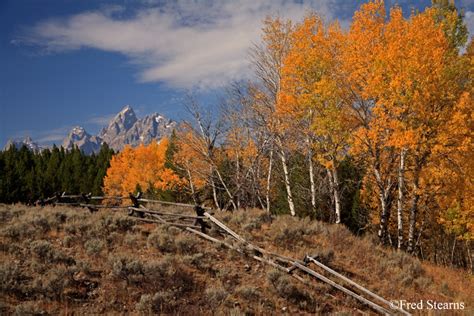 GRAND TETON NATIONAL PARK, FALL COLOR - STEARNS PHOTOGRAPHY ...