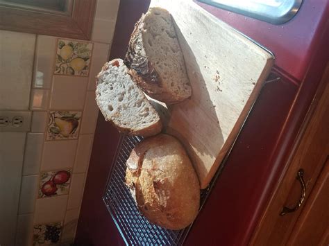 My First Sourdough Loaves The Fresh Loaf