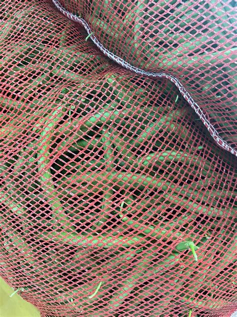 Local debate surrounds the amish of ethridge tn tourism impact 23