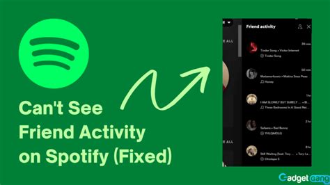 Why Cant I See My Friend Activity On Spotify Gadgetgang