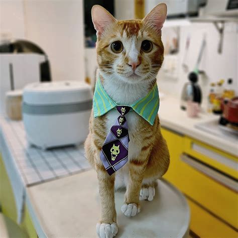 Kira Yoshikage Cat Cosplay Costume Neckties Mewcats