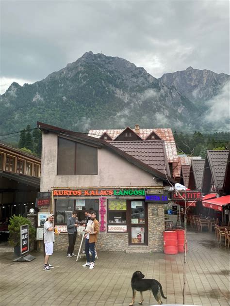Scenic Spots On The Way To Peles Castle Sinaia Romania