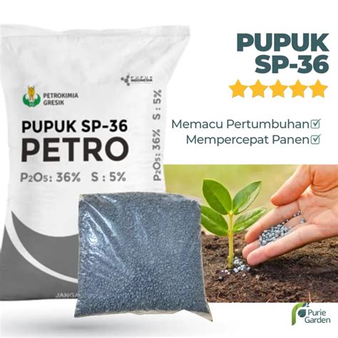 Pupuk SP 36 Penyubur Dan Pembenah Tanah 500gr PG SBY Lazada Indonesia