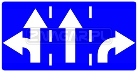Znak Uzupełniający F-10 - Kierunki na Pasach Ruchu 1340x720mm I gen ...