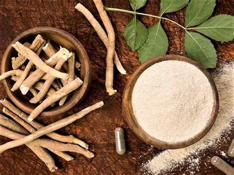 Ashwagandha Propiedades Beneficios Y Contraindicaciones Artofit