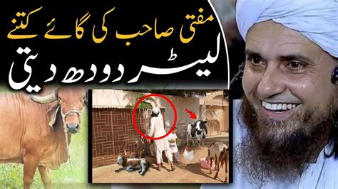 Mufti Sahab Ki Gay Kitne Litre Dudh Deti Mufti Tariq Masood IslamicYouTube2 YouTube