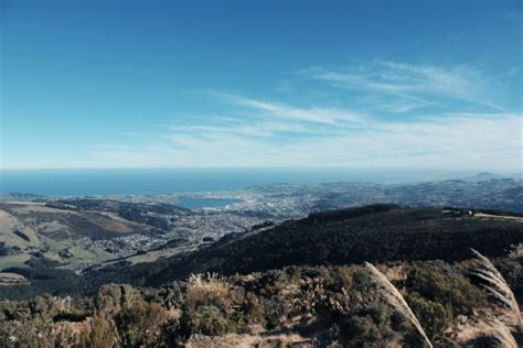 Pros And Cons Of Living In Dunedin A Box Of Adventure