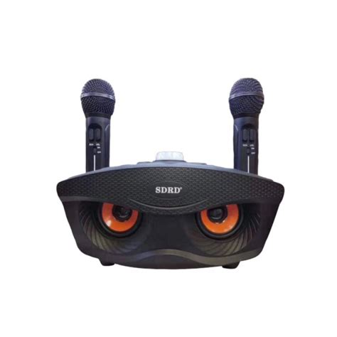 SDRD SD-306 Portable Family Karaoke System Condenser Wireless Stereo ...