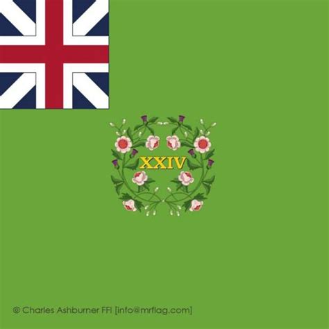 24th Regiment Of Foot Regimental Colour Mrflag