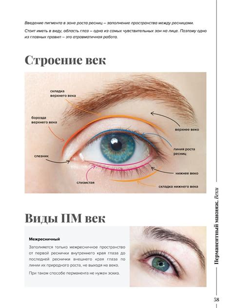 Перманентный макияж | Макияж, Перманентный макияж, Вечерний макияж глаз