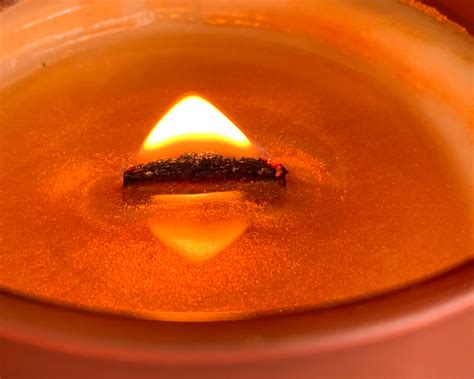 The Delicate Fox | Botanical Body & Soul Care