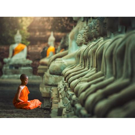 Young Buddhist Monk praying, Thailand