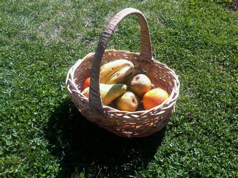 POR UNA OPERACIÓN BIKINI SALUDABLE rendimiento