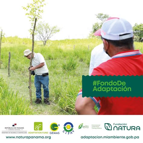 Fichas Tecnicas Adaptation Fund