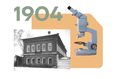 Угличский сыр