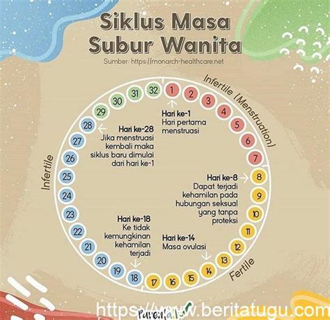 Siklus Haid 30 Hari Kapan Masa Suburnya Sinau