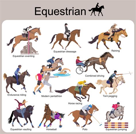 equestrian eventing horses horse riding tips dressage horses