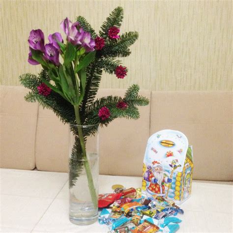 Новогоднее дерево нобилис: snezhnaya_gryu — LiveJournal
