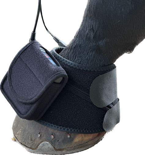 Spectravet Red Class 3b Laser Etaa
