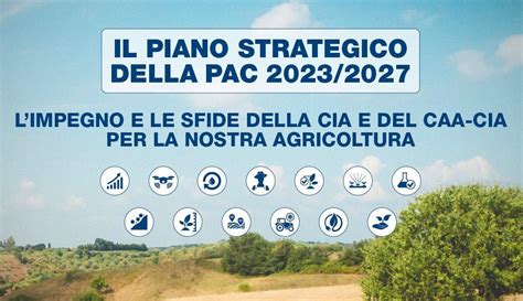 Ecco La Guida Sulla Nuova Pac