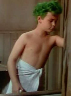 NYSocBoy S Beefcake And Bonding Dean Stockwell Gay Subtexts And Homophobic Texts