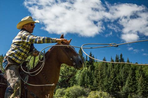 Лассо: что это такое и где используется