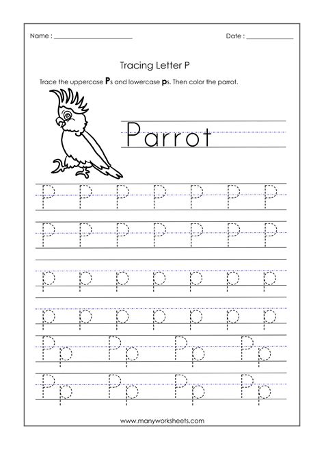 Letter P Worksheets Free Printables Discover The Letter P With Our Free