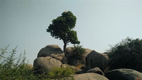 tonk  pictures  famous tourist places  attractions nativeplanet