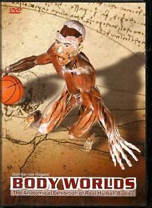 Gunther Von Hagens BODY WORLDS DVD The Anatomical Exhibition Of Real Human Body | eBay