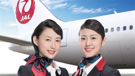 Japan flight attendant – Telegraph