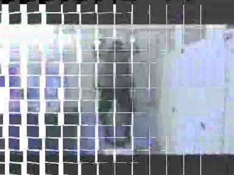 Mr Bean Sex Jackass Video Gallery Know Your Meme