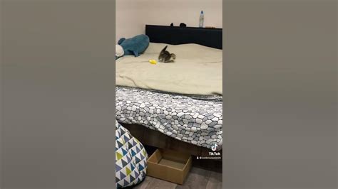 Суету навести охота - YouTube