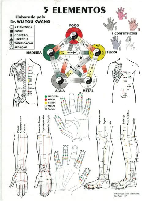 Mapas Acupuntura Cinesioterapia