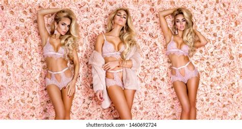 Lingerie Fashion Elegant Woman Sexy Lingerie Stock Photo
