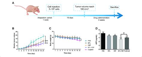 Tumor Growth Inhibition In Hepg2 Bearing Nude Mice After Treatment