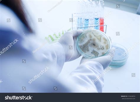 surface contamination testing royalty  images stock